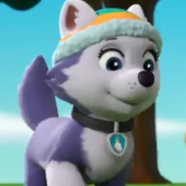 Everest The Beautiful