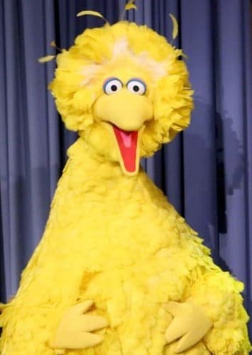 Big Bird