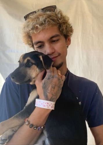 π¬πππ πΉπππππ