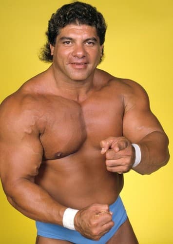 Don Muraco