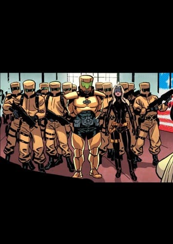 Advanced ldea mechanics