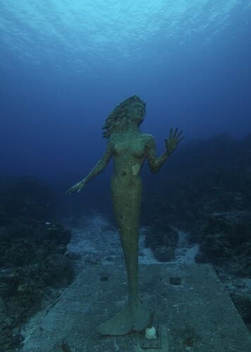 AMPHITRITE