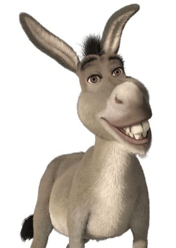 Donkey