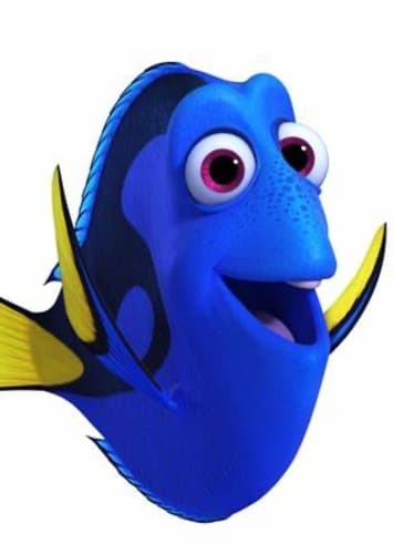 Dory