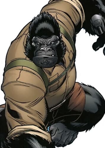 Gorilla Man