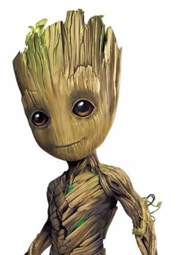 Groot