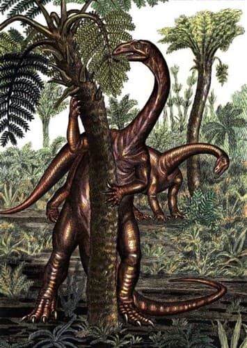 Melanorosaurus