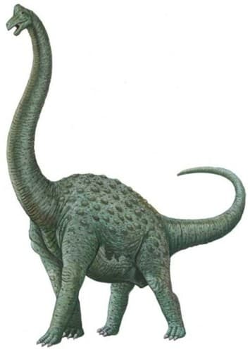 Pelorosaurus