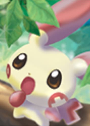 Plusle / プラスル