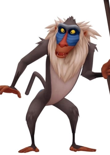 Rafiki