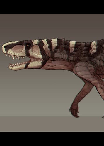 Rauisuchus