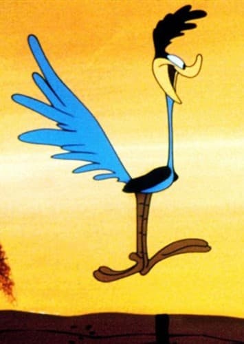 Road Runner
