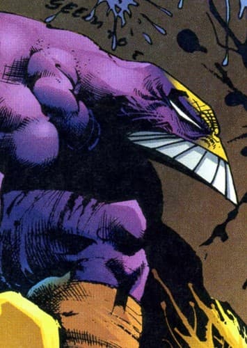 The Maxx