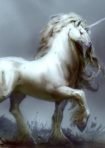 Unicorn