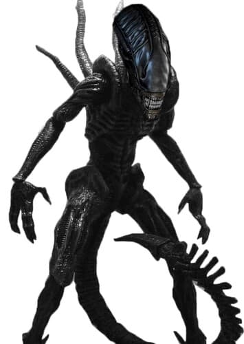Xenomorph