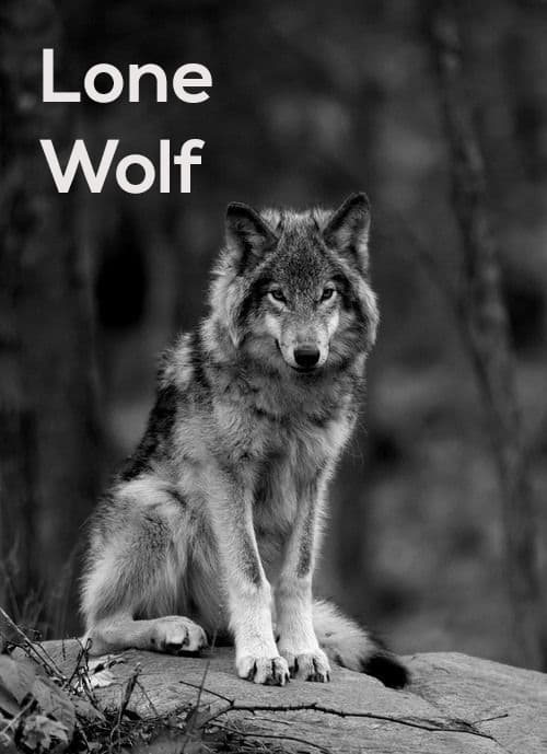 Lone Wolf