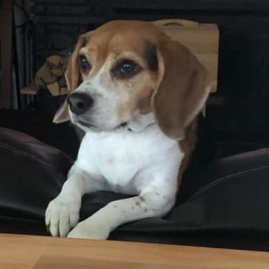 Jennifer Northey Chevalier