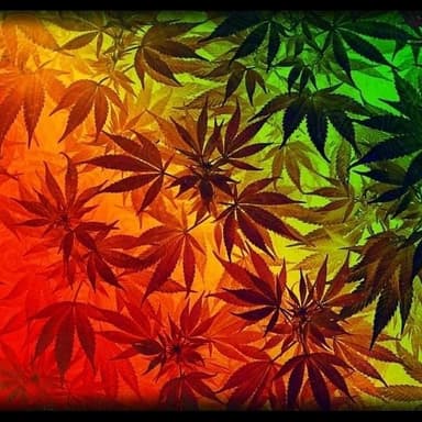 Brandon Steven Hernández